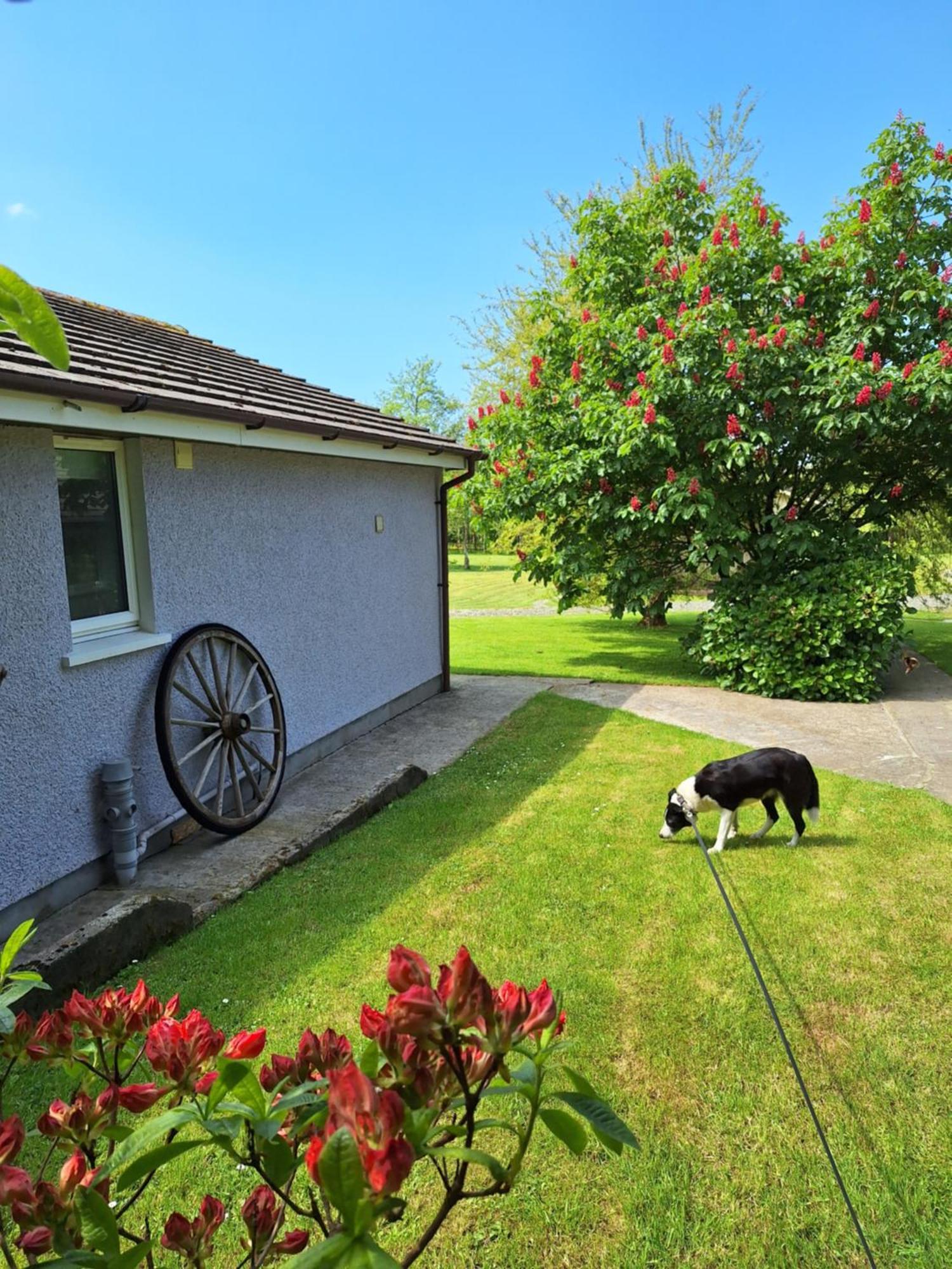 Thornbury Holiday Park Hotel Exterior photo